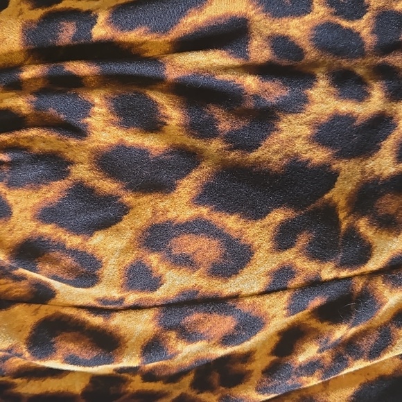 2 Piece Cheetah Set - Picture 3 of 3